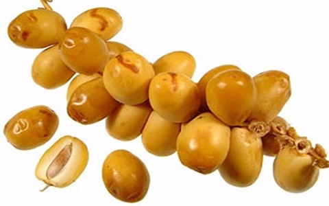 تصویر 5 از خرید خرما خارک اصلاح نژاد شده + قیمت فروش استثنائی